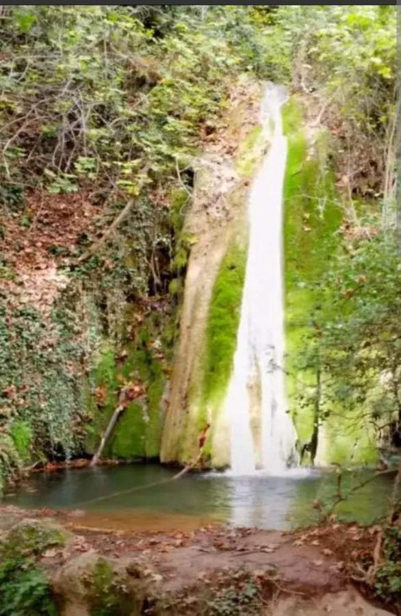 Georgia'S Village House Kondostavlos المظهر الخارجي الصورة