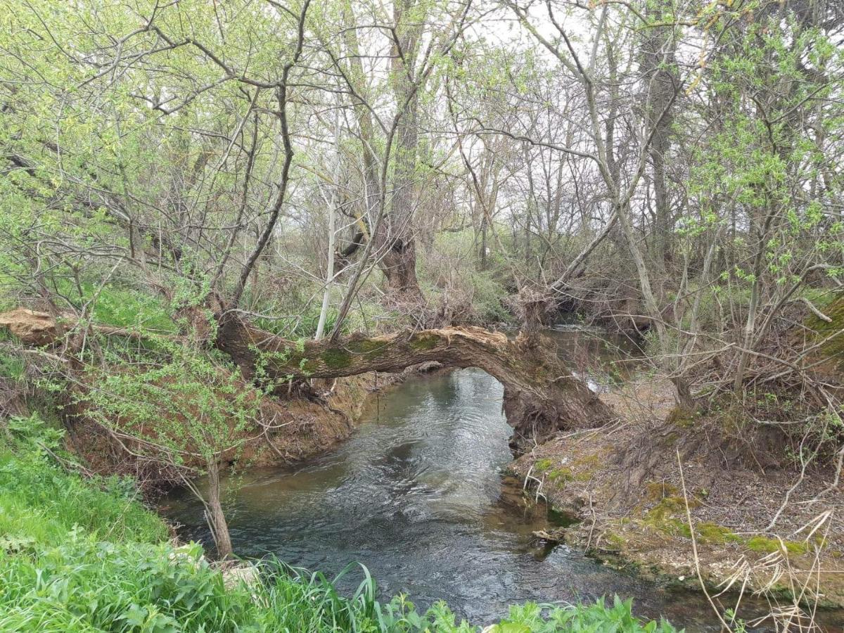 Georgia'S Village House Kondostavlos المظهر الخارجي الصورة