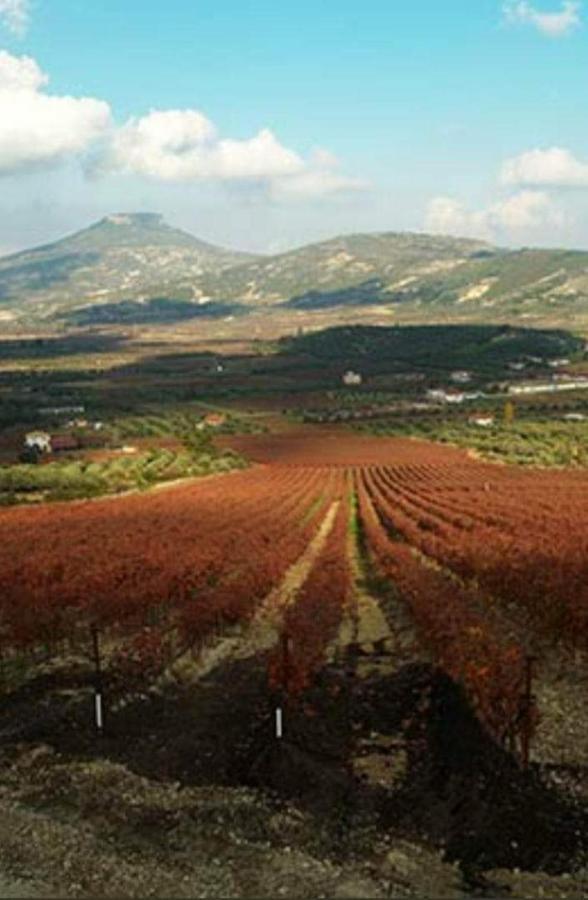 Georgia'S Village House Kondostavlos المظهر الخارجي الصورة